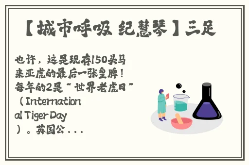 日韩 欧美p片**在线海角一